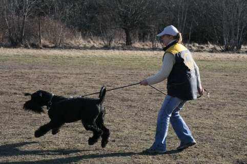 Training in Estonia 30.3 - 1.4. 2007