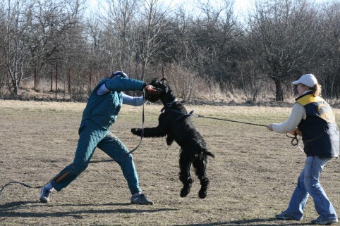 Training in Estonia 30.3 - 1.4. 2007