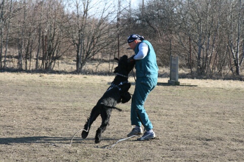 Training in Estonia 30.3 - 1.4. 2007