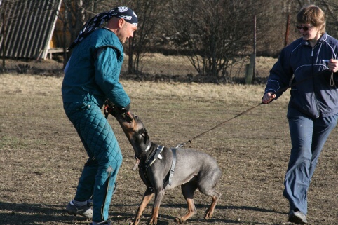 Training in Estonia 30.3 - 1.4. 2007