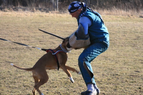 Training in Estonia 30.3 - 1.4. 2007