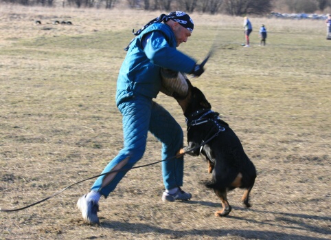 Training in Estonia 30.3 - 1.4. 2007