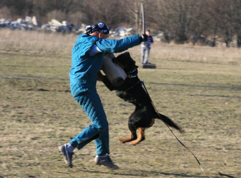 Training in Estonia 30.3 - 1.4. 2007