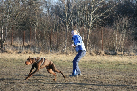 Training in Estonia 30.3 - 1.4. 2007