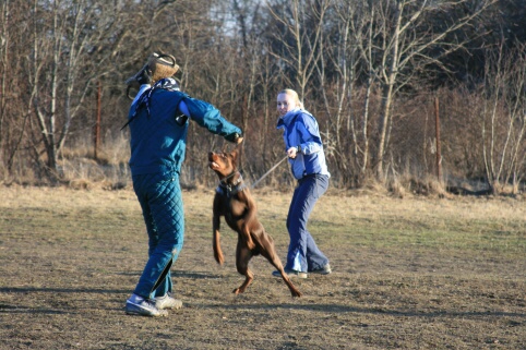 Training in Estonia 30.3 - 1.4. 2007