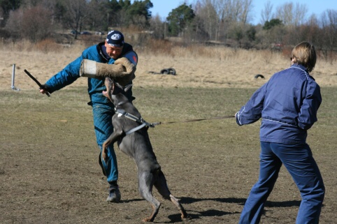 Training in Estonia 30.3 - 1.4. 2007