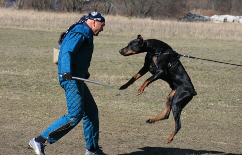 Training in Estonia 30.3 - 1.4. 2007