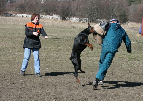 Training in Estonia 30.3 - 1.4. 2007