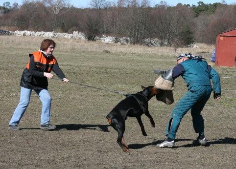 Training in Estonia 30.3 - 1.4. 2007