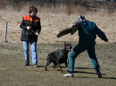 Training in Estonia 30.3 - 1.4. 2007