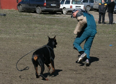 Training in Estonia 30.3 - 1.4. 2007