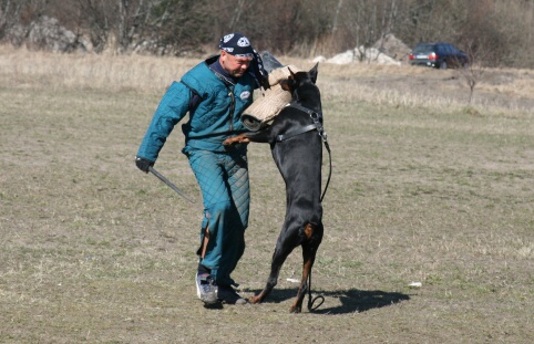 Training in Estonia 30.3 - 1.4. 2007