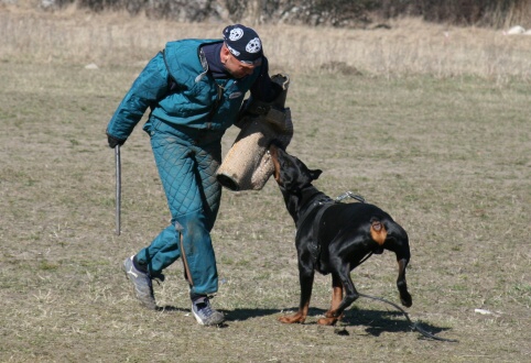 Training in Estonia 30.3 - 1.4. 2007