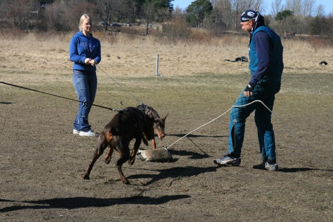 Training in Estonia 30.3 - 1.4. 2007