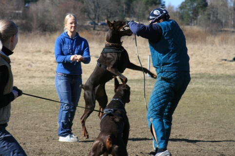 Training in Estonia 30.3 - 1.4. 2007