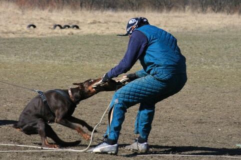 Training in Estonia 30.3 - 1.4. 2007