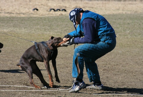 Training in Estonia 30.3 - 1.4. 2007