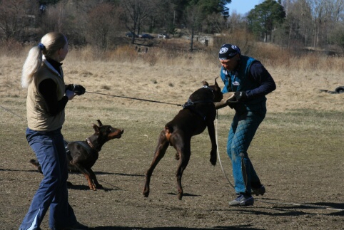 Training in Estonia 30.3 - 1.4. 2007