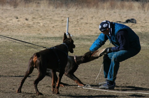 Training in Estonia 30.3 - 1.4. 2007