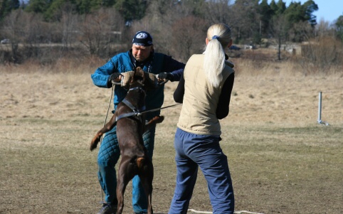 Training in Estonia 30.3 - 1.4. 2007