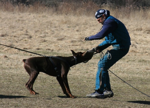 Training in Estonia 30.3 - 1.4. 2007