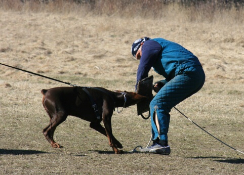 Training in Estonia 30.3 - 1.4. 2007