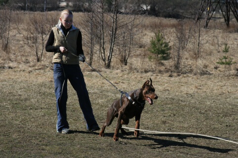 Training in Estonia 30.3 - 1.4. 2007