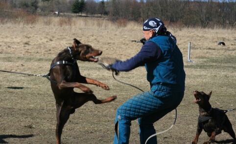 Training in Estonia 30.3 - 1.4. 2007