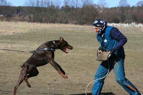 Training in Estonia 30.3 - 1.4. 2007