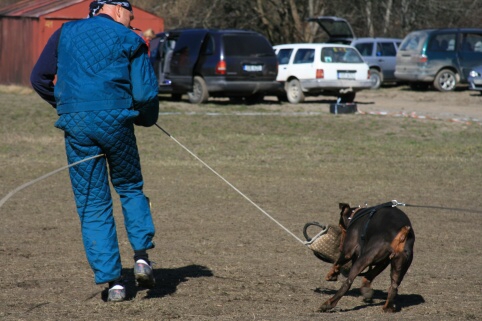 Training in Estonia 30.3 - 1.4. 2007