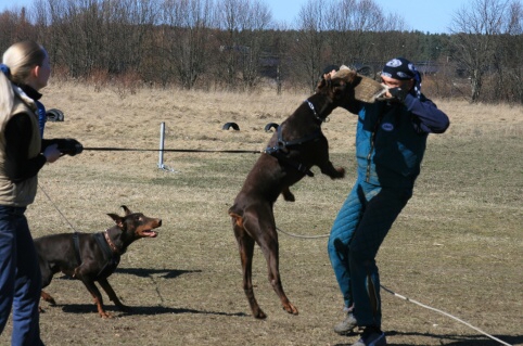 Training in Estonia 30.3 - 1.4. 2007