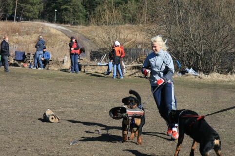 Training in Estonia 30.3 - 1.4. 2007