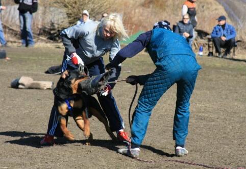 Training in Estonia 30.3 - 1.4. 2007