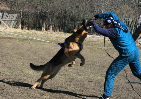 Training in Estonia 30.3 - 1.4. 2007