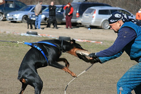 Training in Estonia 30.3 - 1.4. 2007