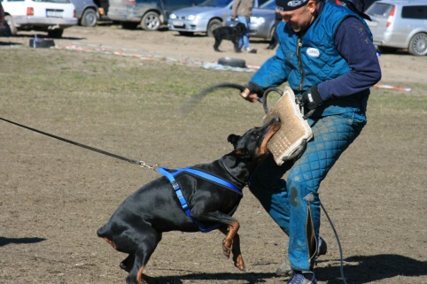 Training in Estonia 30.3 - 1.4. 2007