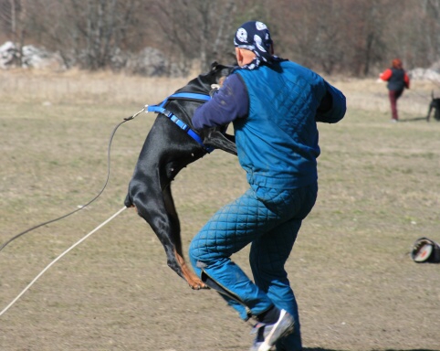 Training in Estonia 30.3 - 1.4. 2007