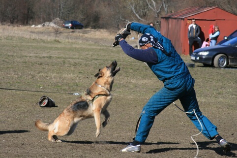 Training in Estonia 30.3 - 1.4. 2007