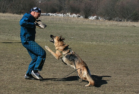 Training in Estonia 30.3 - 1.4. 2007