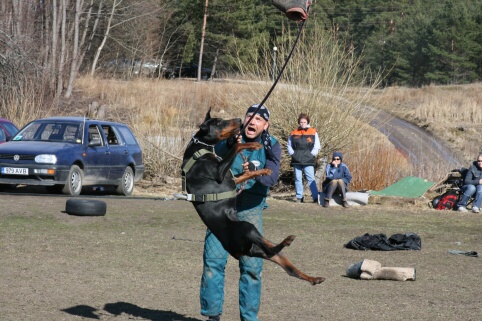 Training in Estonia 30.3 - 1.4. 2007