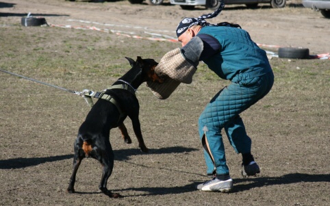 Training in Estonia 30.3 - 1.4. 2007