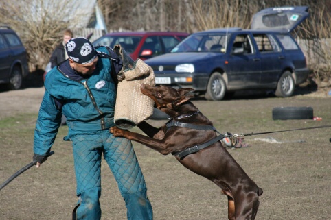 Training in Estonia 30.3 - 1.4. 2007