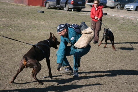 Training in Estonia 30.3 - 1.4. 2007