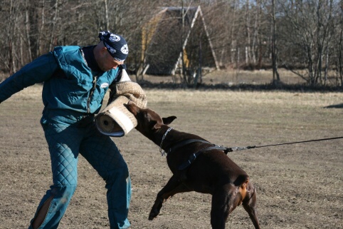 Training in Estonia 30.3 - 1.4. 2007