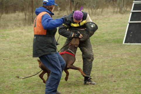 Training in Estonia 11. - 13. 4. 2008