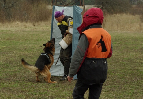 Training in Estonia 11. - 13. 4. 2008