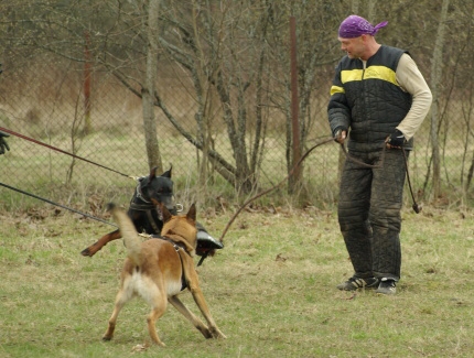 Training in Estonia 11. - 13. 4. 2008