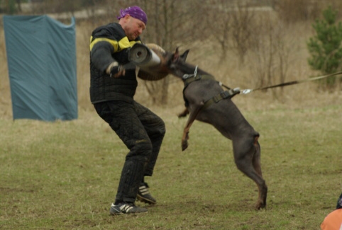 Training in Estonia 11. - 13. 4. 2008