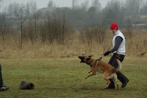 Training in Estonia 11. - 13. 4. 2008