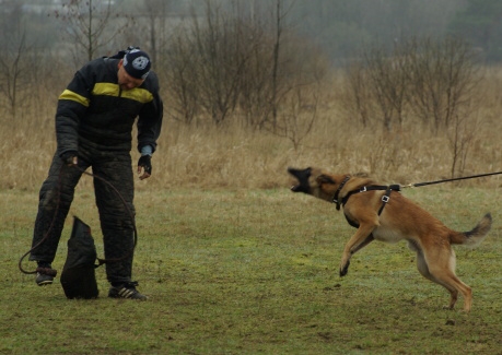 Training in Estonia 11. - 13. 4. 2008